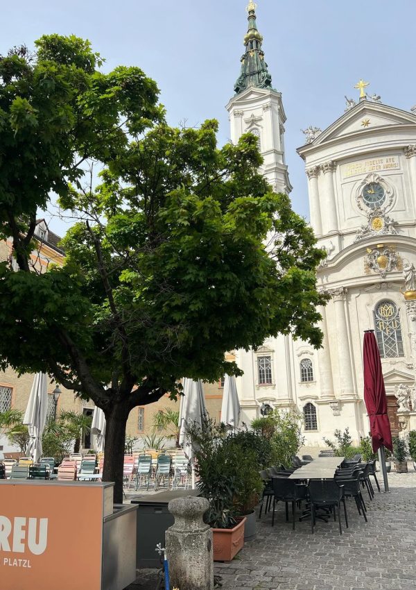 436337722_1132498994743661_1334665492937567175_n