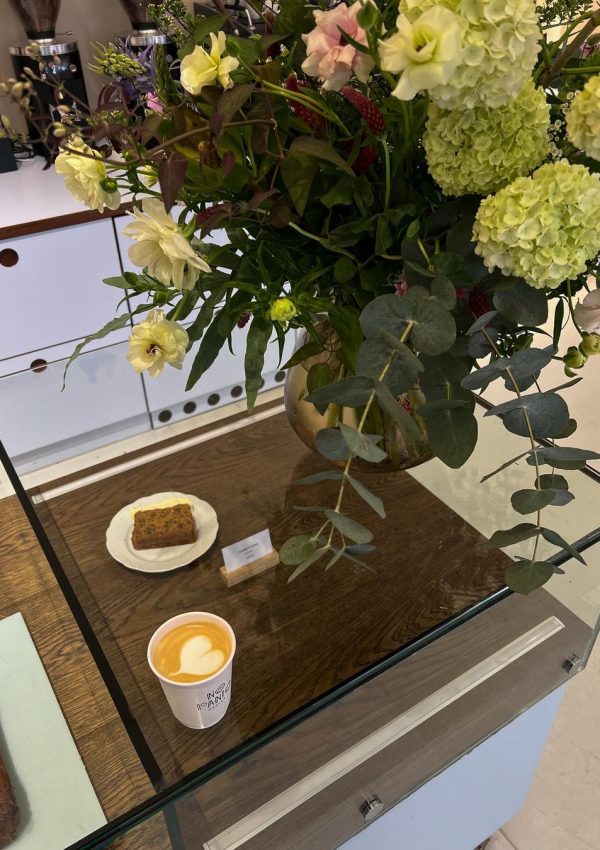 440943616_1378837379472087_6667598960827265937_n