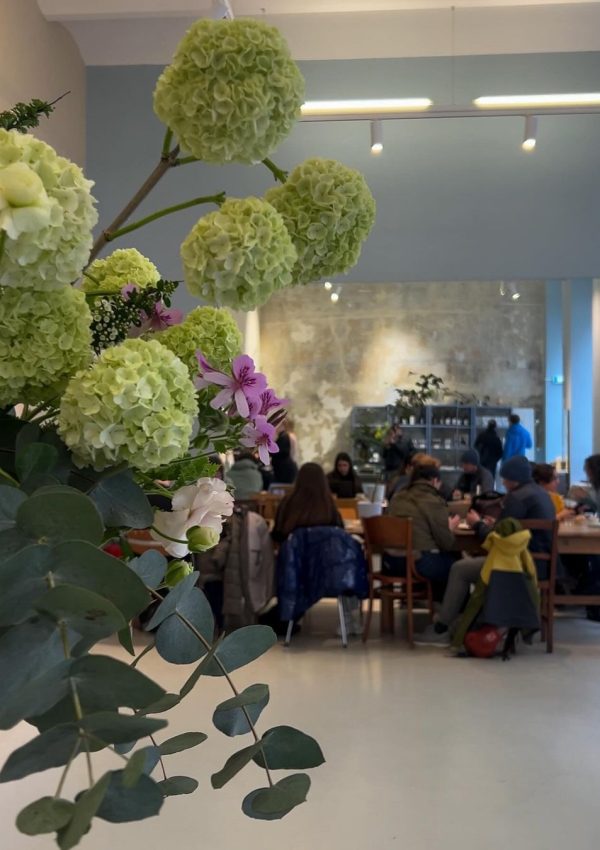 441470352_357063786876500_7501370721449150157_n