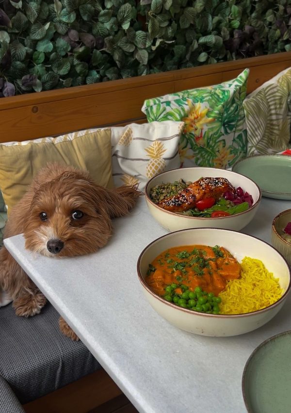 446221990_452730627405906_6781383424195512174_n