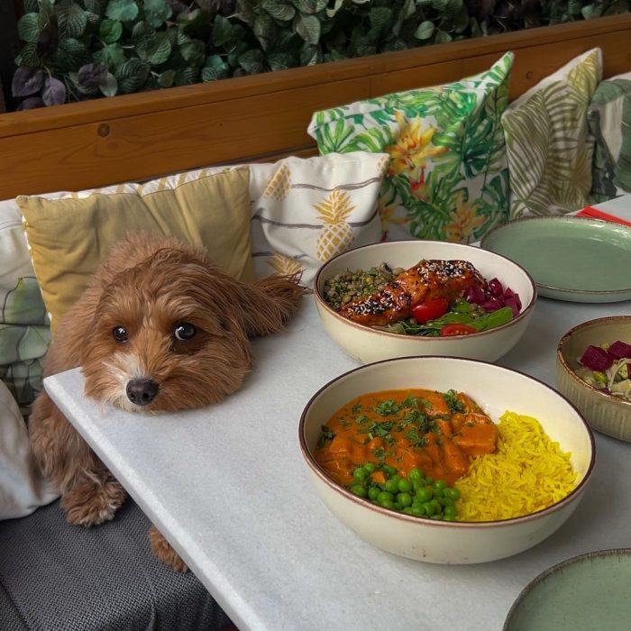 446221990_452730627405906_6781383424195512174_n