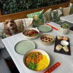 446310138_777005844516104_7753139298027686012_n