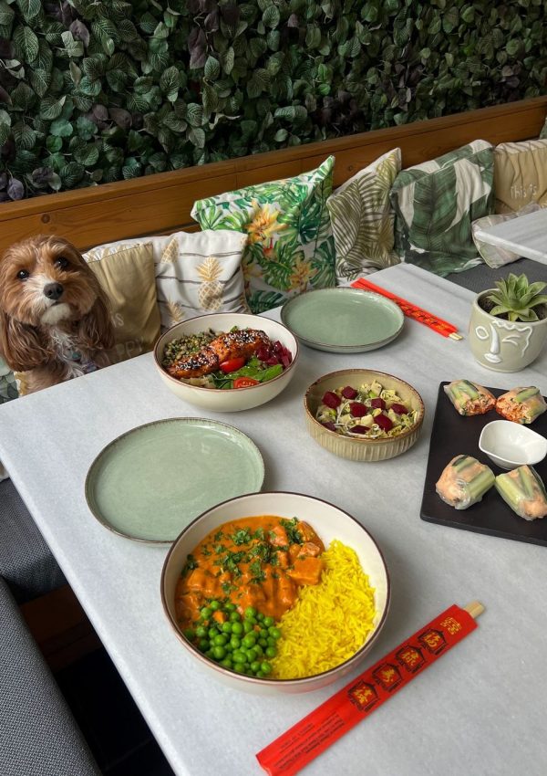 446310138_777005844516104_7753139298027686012_n