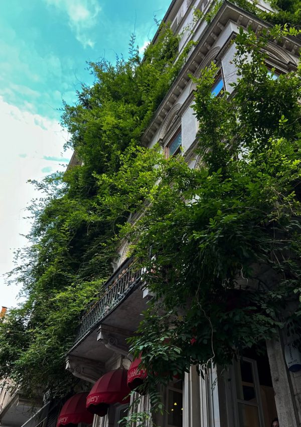 Pera’ya yolunuz düştüyse ya burada oturmuş ya da yeşillikler içinde binasını fotoğraflamış olabi (10)