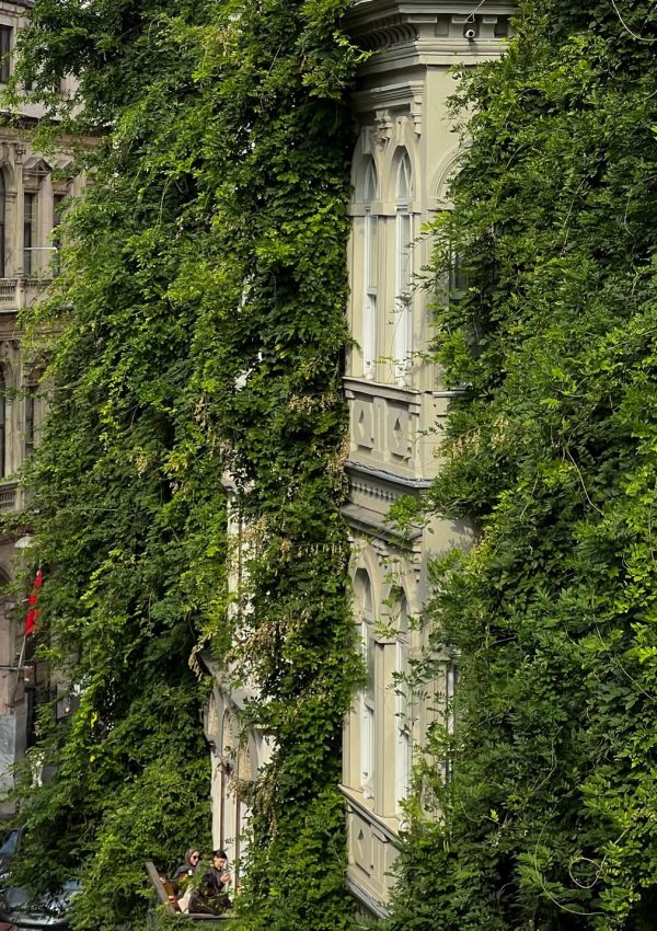 Pera’ya yolunuz düştüyse ya burada oturmuş ya da yeşillikler içinde binasını fotoğraflamış olabi (11)