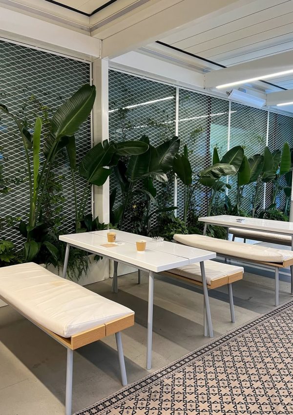 SaveClip.App_463937664_956837349601814_1444700121385770329_n