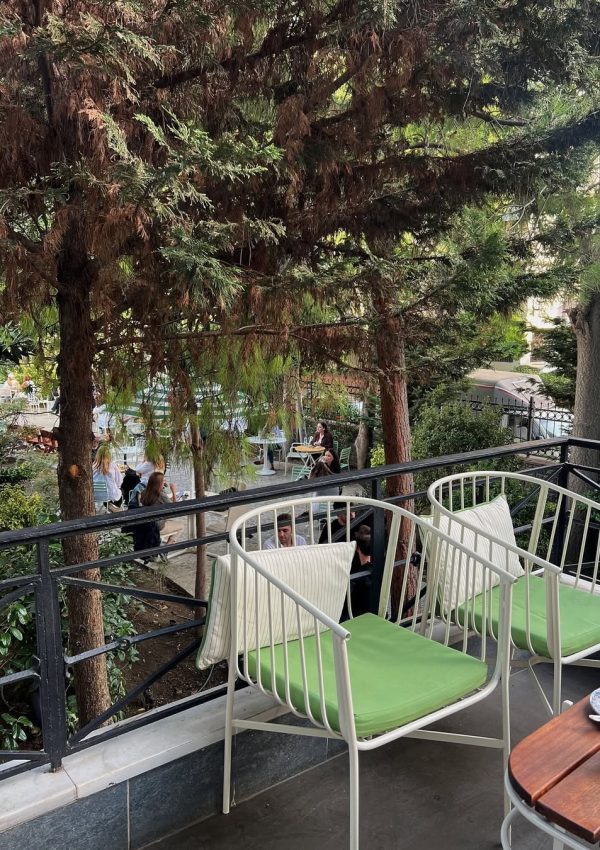 SaveClip.App_464100332_465488869245431_5971772460060366574_n