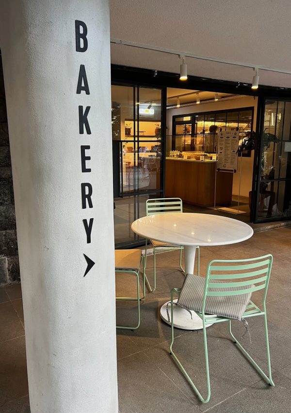 SaveClip.App_464159890_517454337780689_8683083459418463466_n