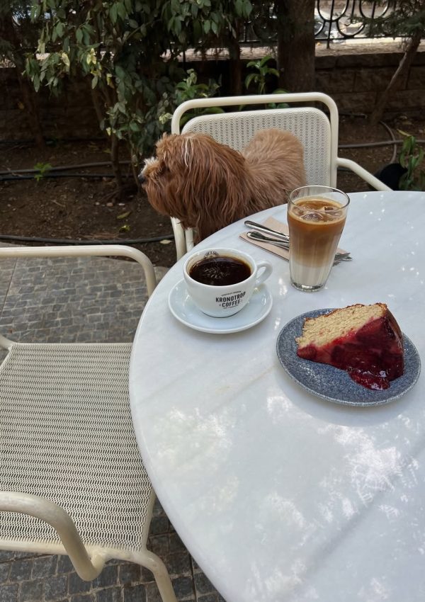 SaveClip.App_464170306_1603864213889368_7500259055753860219_n