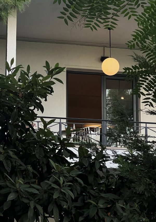 SaveClip.App_464222320_1217526896151071_6550771108941359970_n