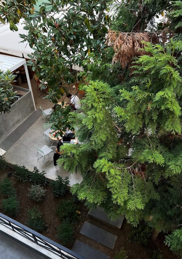 SaveClip.App_464267934_1599687467289481_6683517747373363858_n