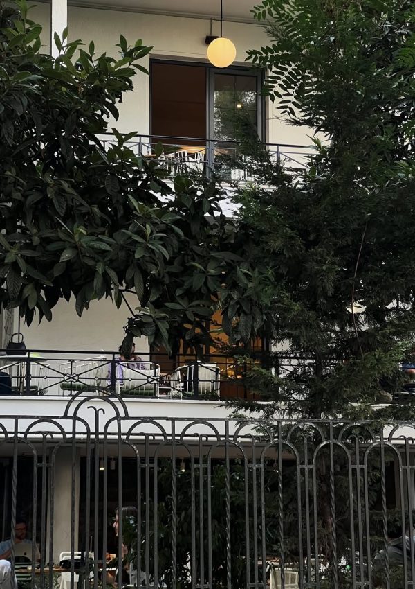 SaveClip.App_464309753_1254198645769201_3426551641739733358_n