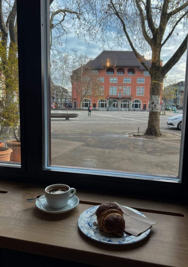 SaveClip.App_469748809_4015207615428057_148016595548608105_n