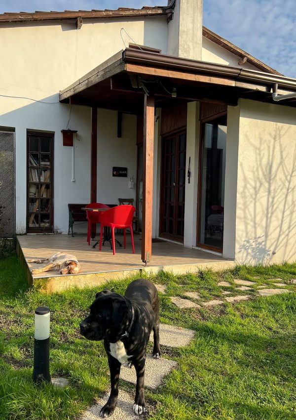 SaveClip.App_479914579_18313223428204099_9135577497496309448_n