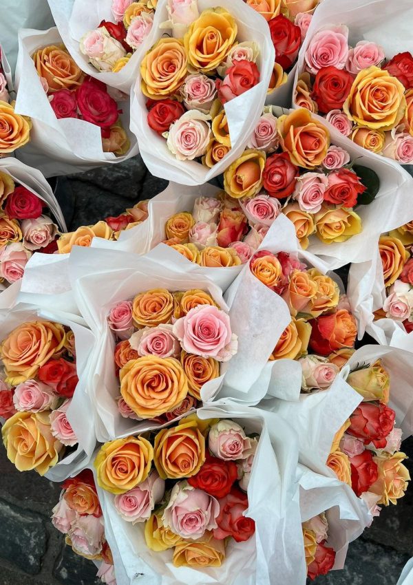 Snapinsta.app_332471503_532419229043440_8688937335203100168_n_1080