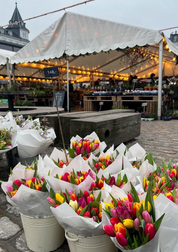 Snapinsta.app_332897300_510903017906479_6475881620653579857_n_1080