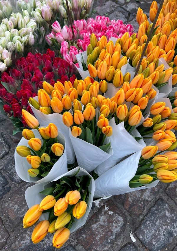 Snapinsta.app_334305981_606632501309451_1649605535808049819_n_1080