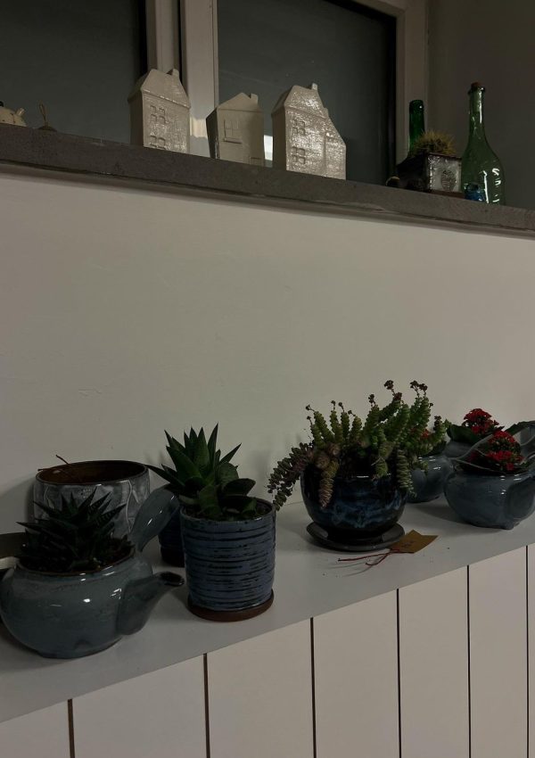 Snapinsta.app_353805613_975774413766362_3290474699526783155_n_1080