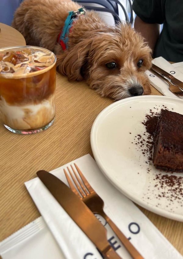 Snapinsta.app_358337156_6572476482809252_4108857209386653139_n_1080