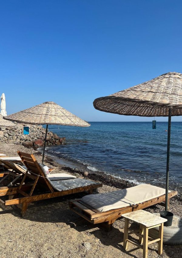 Snapinsta.app_362284636_583171857326521_6656910523012192776_n_1080