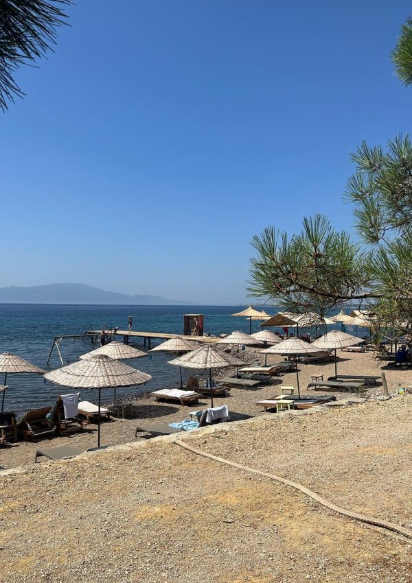 Snapinsta.app_362673293_1447377969432858_5731820342970235461_n_1080