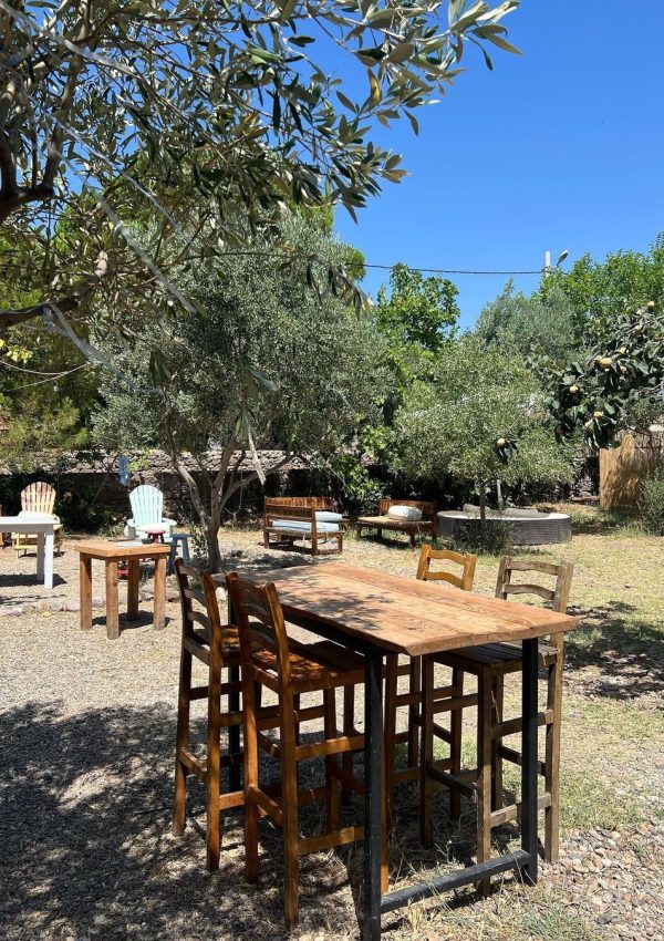 Snapinsta.app_362679930_980219179929773_7459702655323671879_n_1080