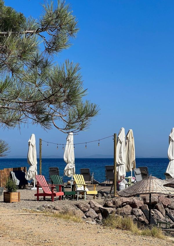 Snapinsta.app_362871843_831915978630259_3268227163164984745_n_1080