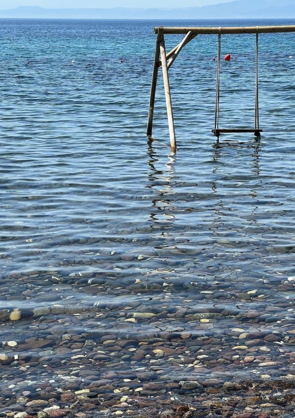 Snapinsta.app_363310362_3615666615375482_3761523390599110100_n_1080