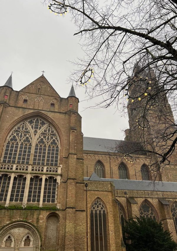 Snapinsta.app_412268262_186103917862437_6964202827365725207_n_1080