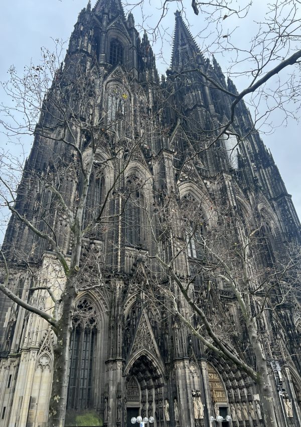 katedral1
